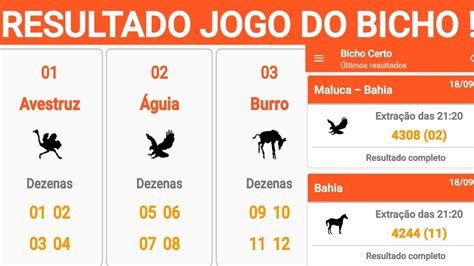 ok google resultado do jogo do bicho da bahia